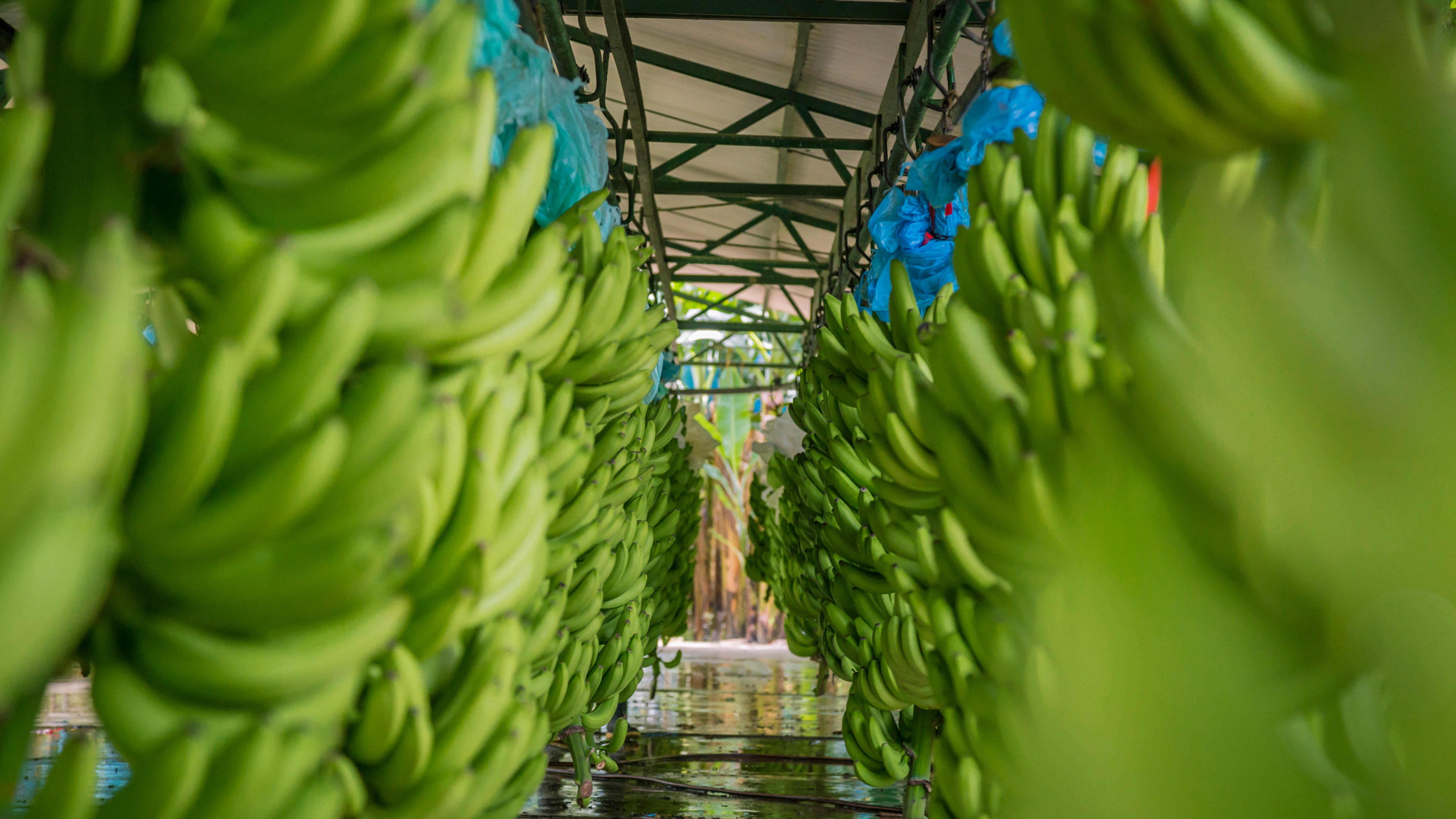 Soluciones para tu cultivo