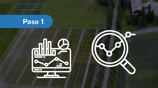 Identifica el analisis 